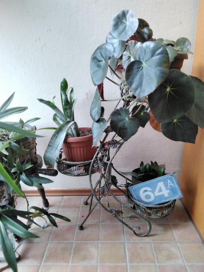 Fina Apartman Leskovac  Extérieur photo