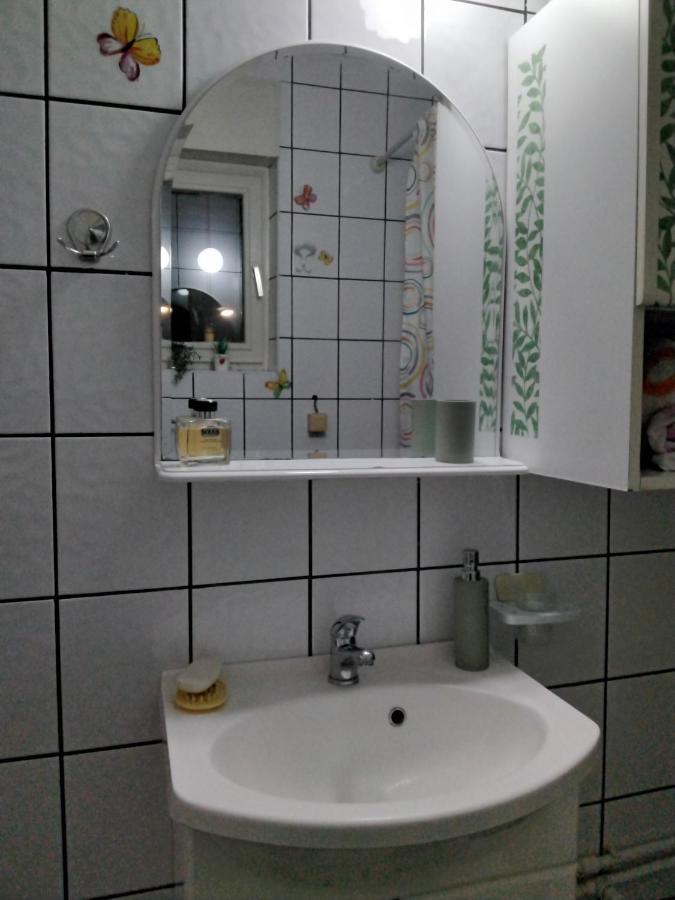 Fina Apartman Leskovac  Extérieur photo