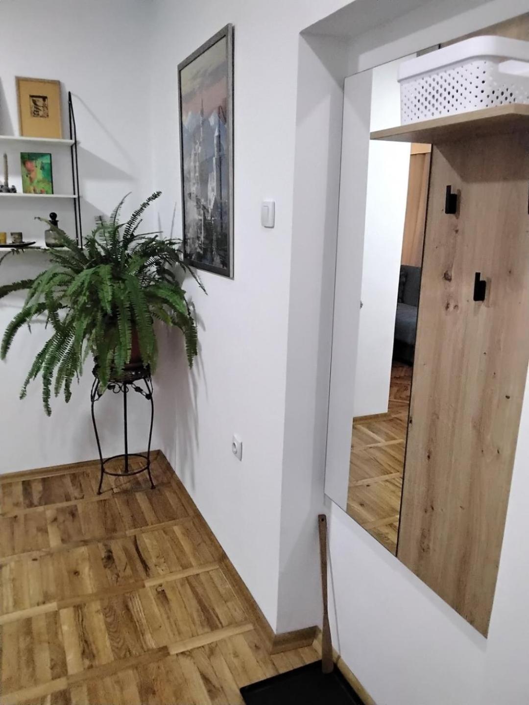 Fina Apartman Leskovac  Extérieur photo